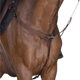 Norton Pro - Collier de chasse élastique havane | - Ohlala