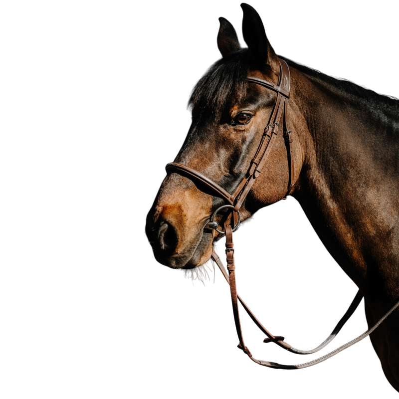 Norton - Bridon Hunter Comfy havane