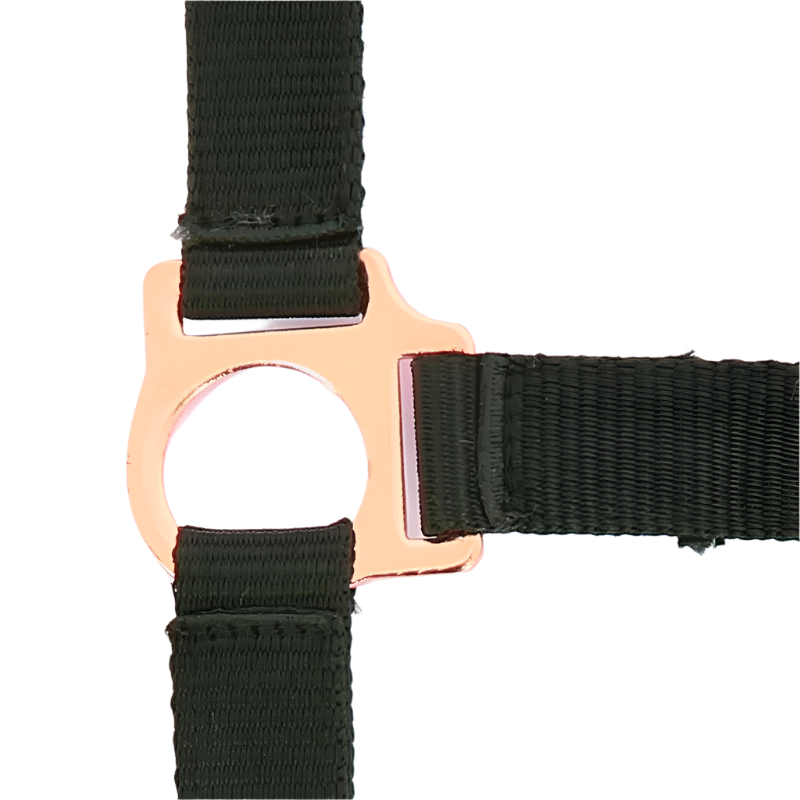 Norton - Licol et longe nylon rose gold/ noir