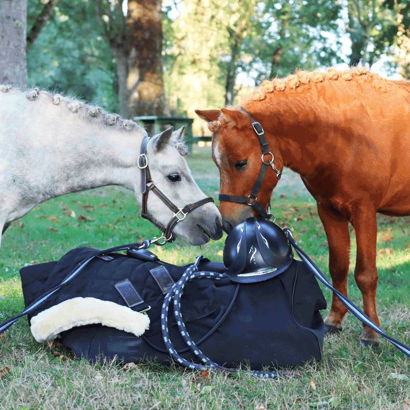 Longe cheval double mousqueton - Cheval et Compagnie