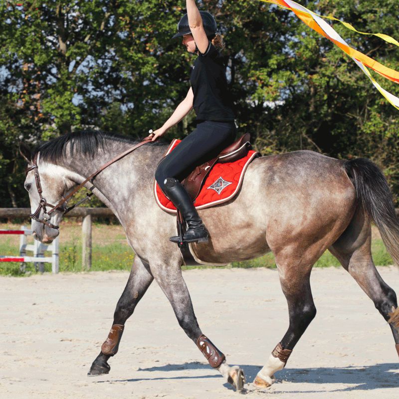 Equithème - Legging d'équitation femme full grip Lyly noir | - Ohlala