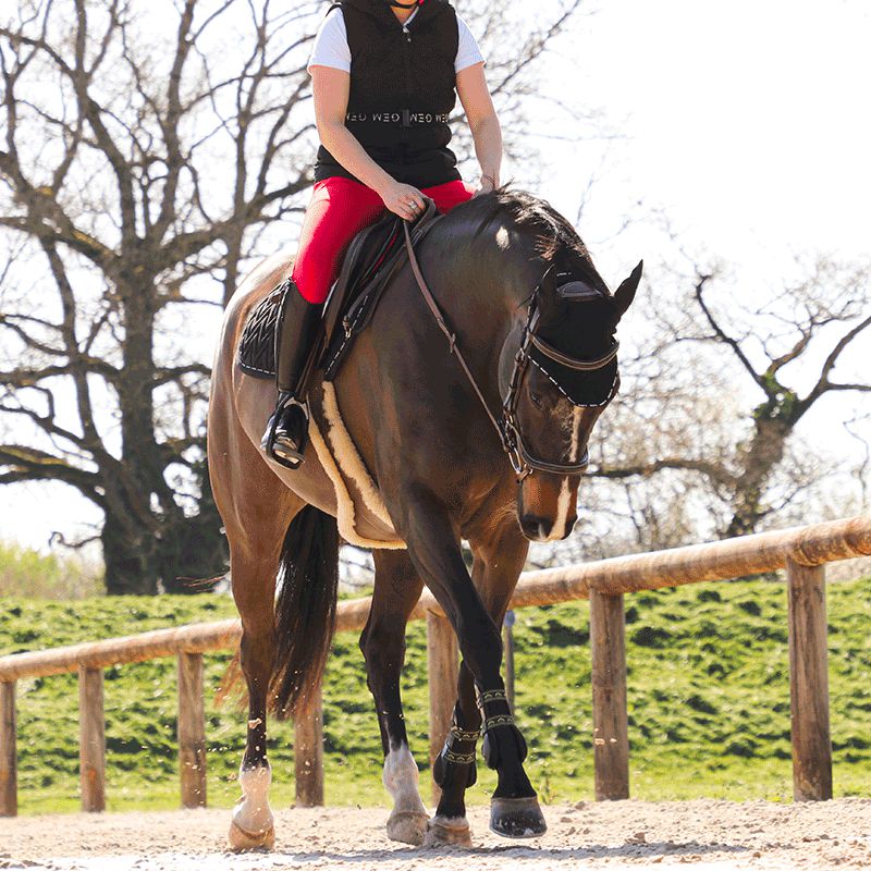 Kentucky Horsewear - Sangle bavette mouton marron | - Ohlala
