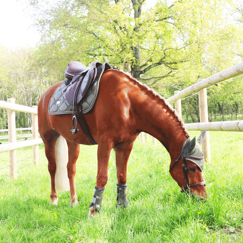 Equestrian Stockholm - Guêtres fermées Evening Haze | - Ohlala