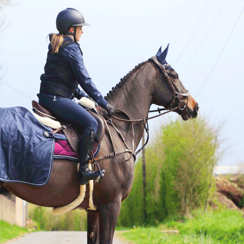 Jump'In - Collier de chasse 5 points + martingale One Noisette | - Ohlala