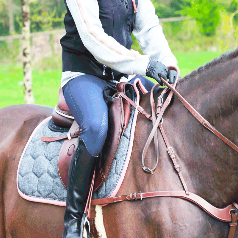 Jump'In - Collier de chasse 5 points + martingale One Noisette | - Ohlala
