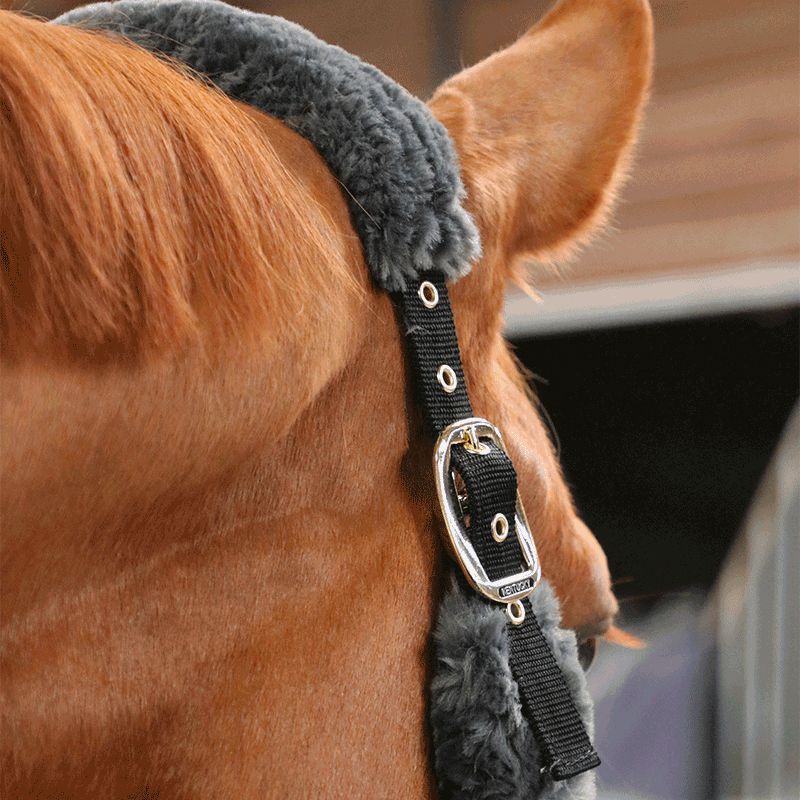 Kentucky Horsewear - Licol de transport mouton gris | - Ohlala