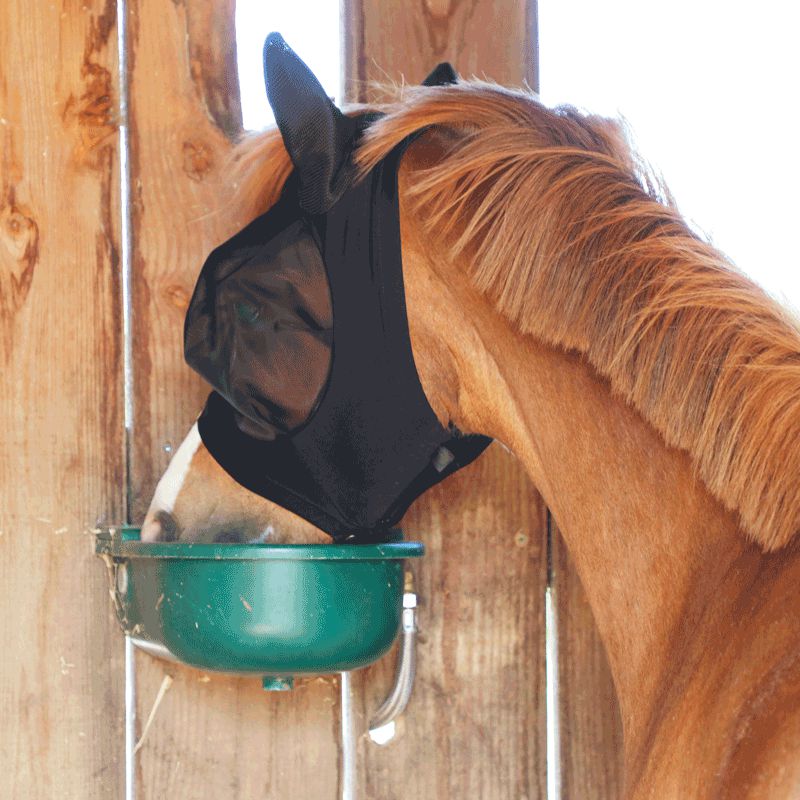 Kentucky Horsewear - Masque anti-mouches Slim Fit poneys | - Ohlala