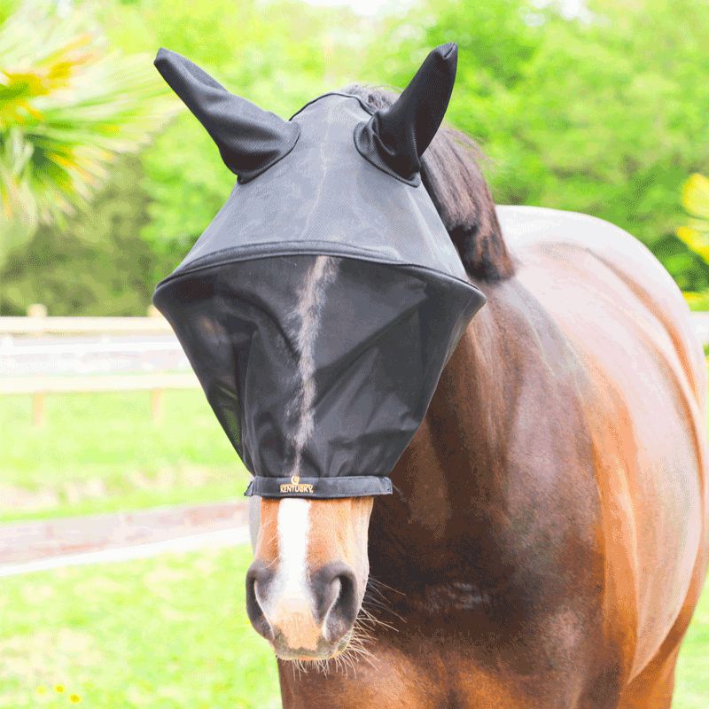 Kentucky Horsewear - Masque anti-mouches pro | - Ohlala