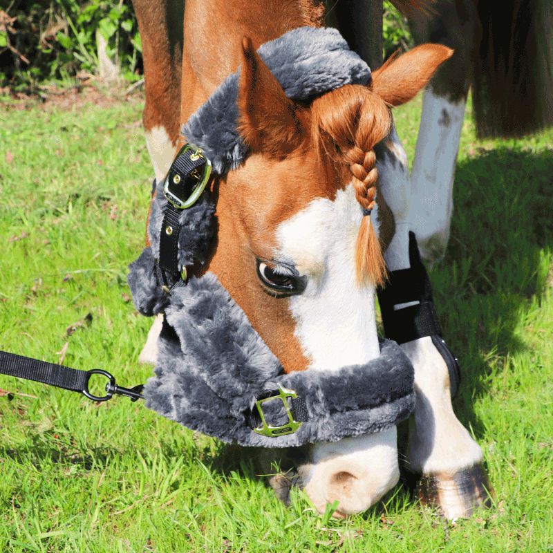 Kentucky Horsewear - Licol de transport mouton gris | - Ohlala