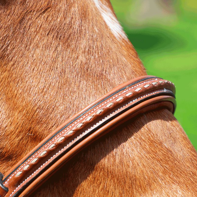 Savon pour cuir équitation glyceriné Farnam Leather New 473 ml - Entretien  pour cuirs - Cuirs & Enrênements - Cheval au travail