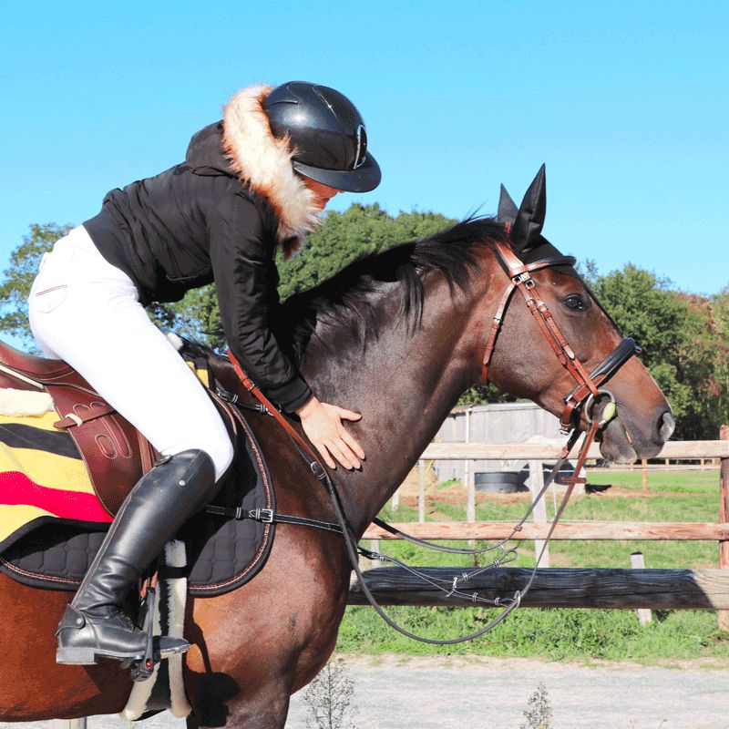 Equipement cross cheval : Matériel d'Equitation
