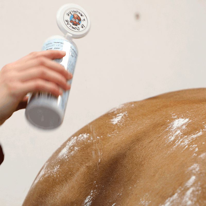 La Douche A Maouche - Shampoing sec poudre chevaux 250 ml | - Ohlala