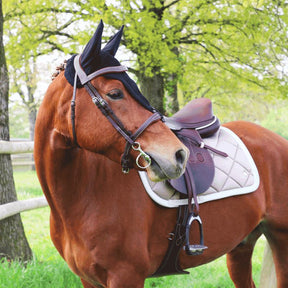 Equiline - Bonnet long pour chevaux noir