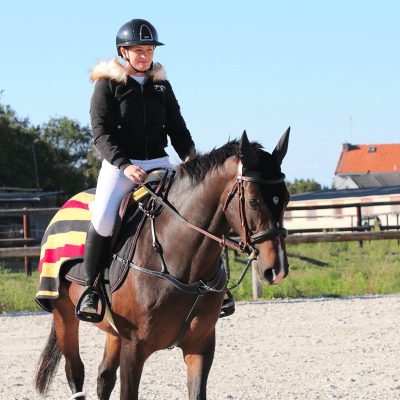 Equipement cheval pour la pratique du CSO : matériel chevaux