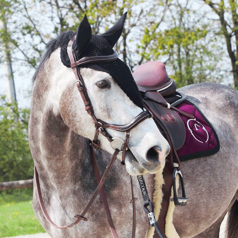 Equiline - Bonnet long pour chevaux noir | - Ohlala