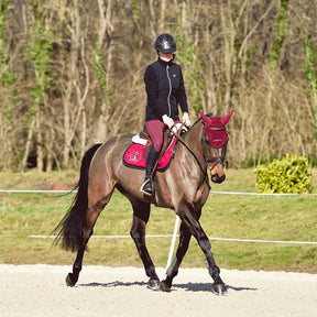 Horse Pilot - Pantalon d'équitation femme X-Design bordeaux | - Ohlala