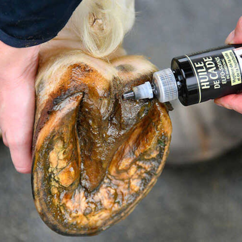 Onguent du Maréchal - Protection de la fourchette du maréchal Elfo Soins