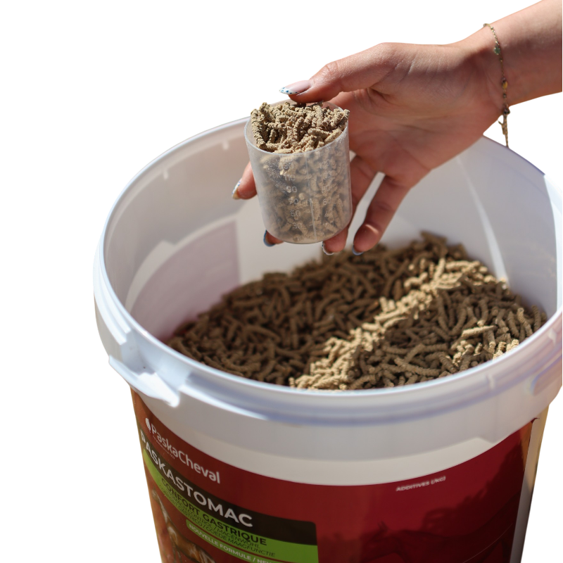 Paskacheval - Complément alimentaire Confort Gastrique Paskastomac
