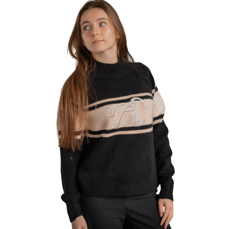Pénélope - Pull manches longues col montant femme Noris noir / camel