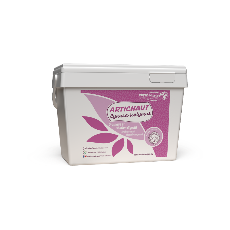 PhytoMaster - Complément alimentaire récupération Artichaut