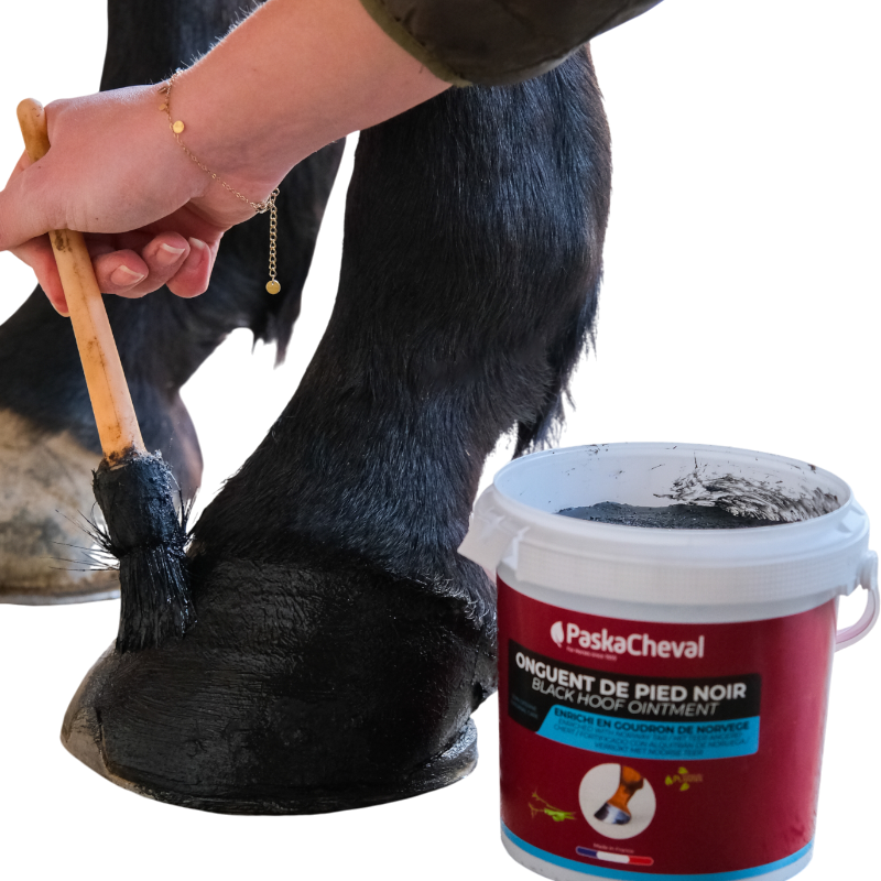 Paskacheval - Onguent pour sabots Noir | - Ohlala