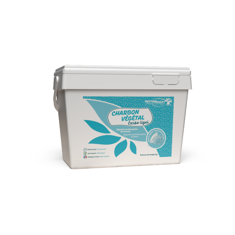 PhytoMaster - Complément alimentaire digestion Charbon végétal en poudre