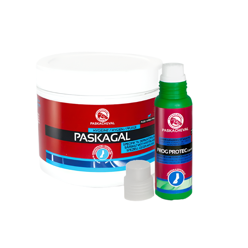 Paskacheval - Pack temps humide