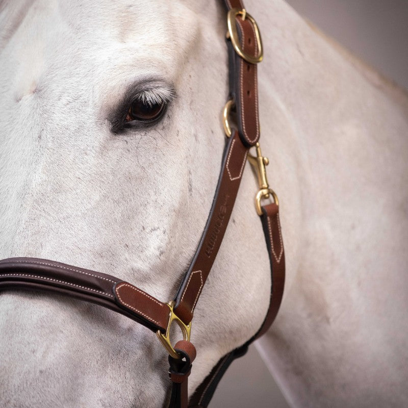 Paddock Sports - Licol 3 mousquetons havane