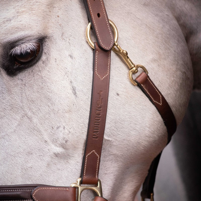 Paddock Sports - Licol 3 mousquetons havane