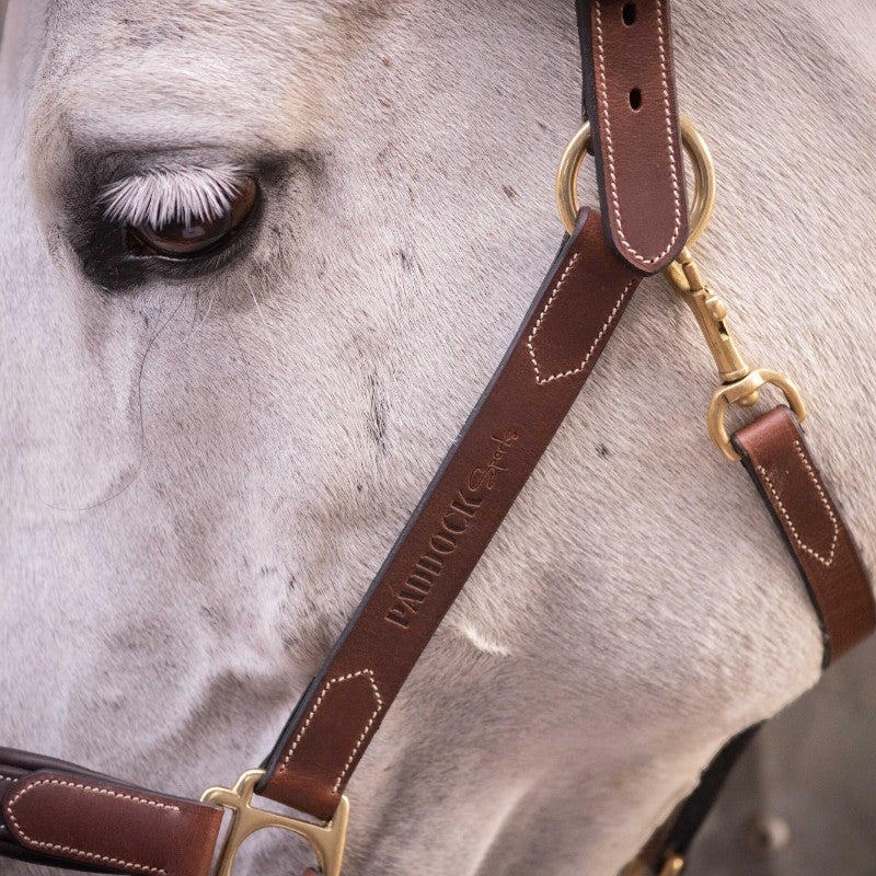 Paddock Sports - Licol 3 mousquetons havane