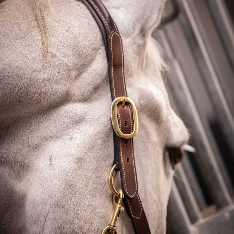 Paddock Sports - Licol 3 mousquetons havane