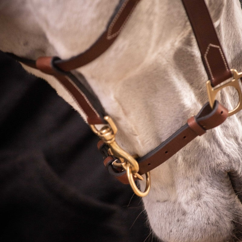 Paddock Sports - Licol 3 mousquetons havane