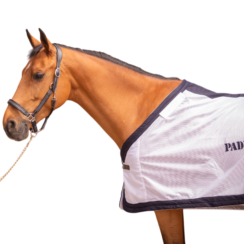 Paddock Sports - Chemise d'extérieur UV Mesh Combo blanc