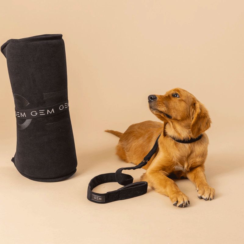 GEM Equitation - Tapis pour chien noir | - Ohlala