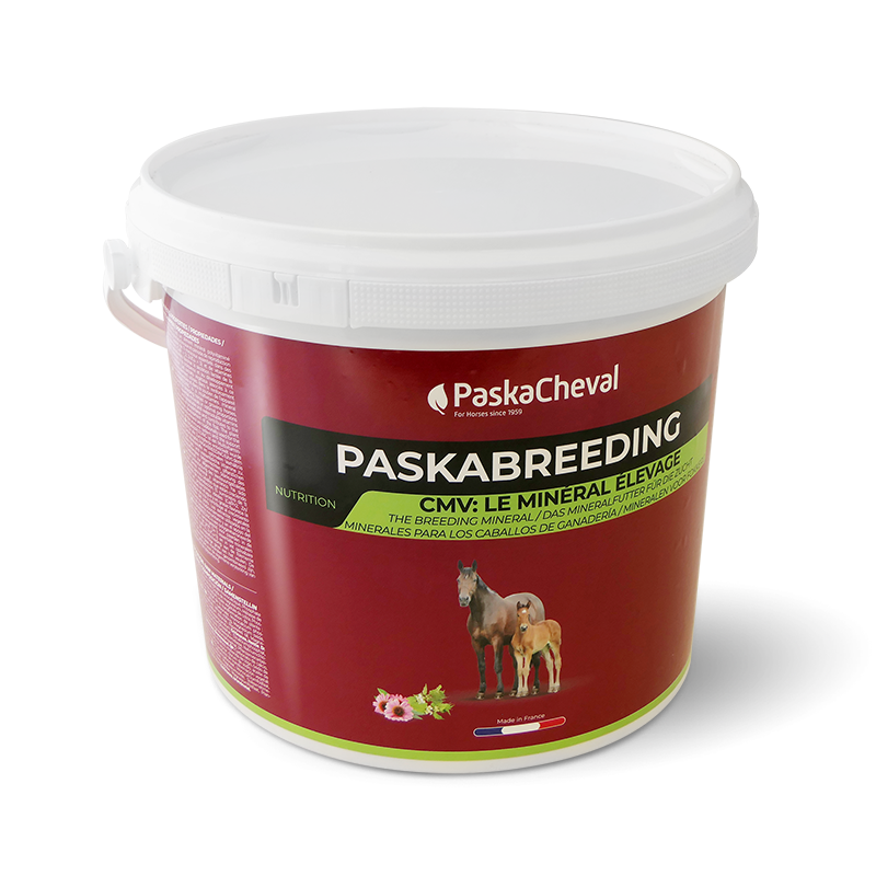 Paskacheval - Complément alimentaire Paskabreeding granulé