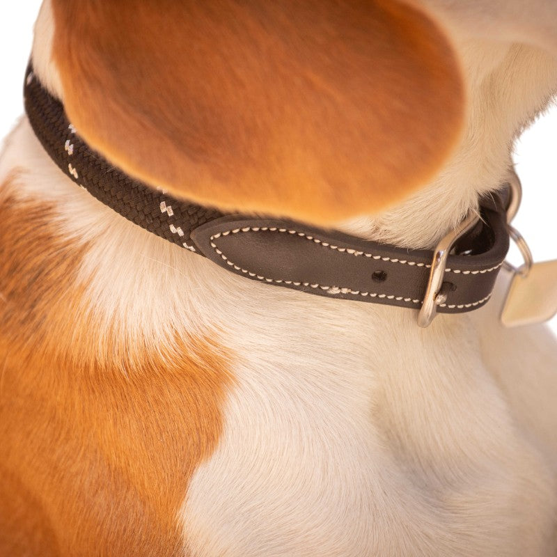 Pénélope - Collier pour chien Billie noir/ lurex