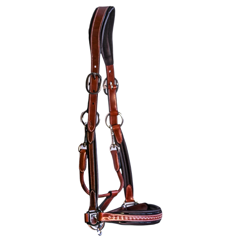 Pénélope - Licol cheval cuir Point Sellier noisette