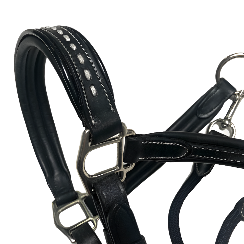 Pénélope - Licol cheval cuir Point Sellier noir