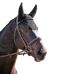 Pénélope - Bonnet pour chevaux anti-bruit Strass noir | - Ohlala