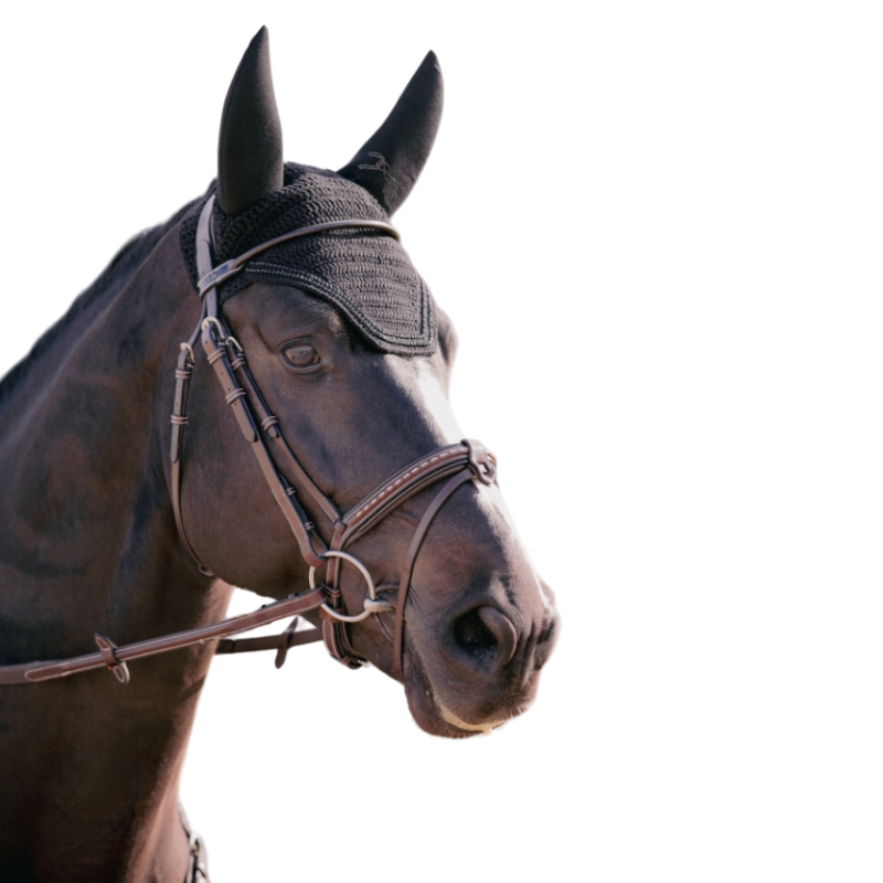 Pénélope - Bonnet pour chevaux anti-bruit Strass noir