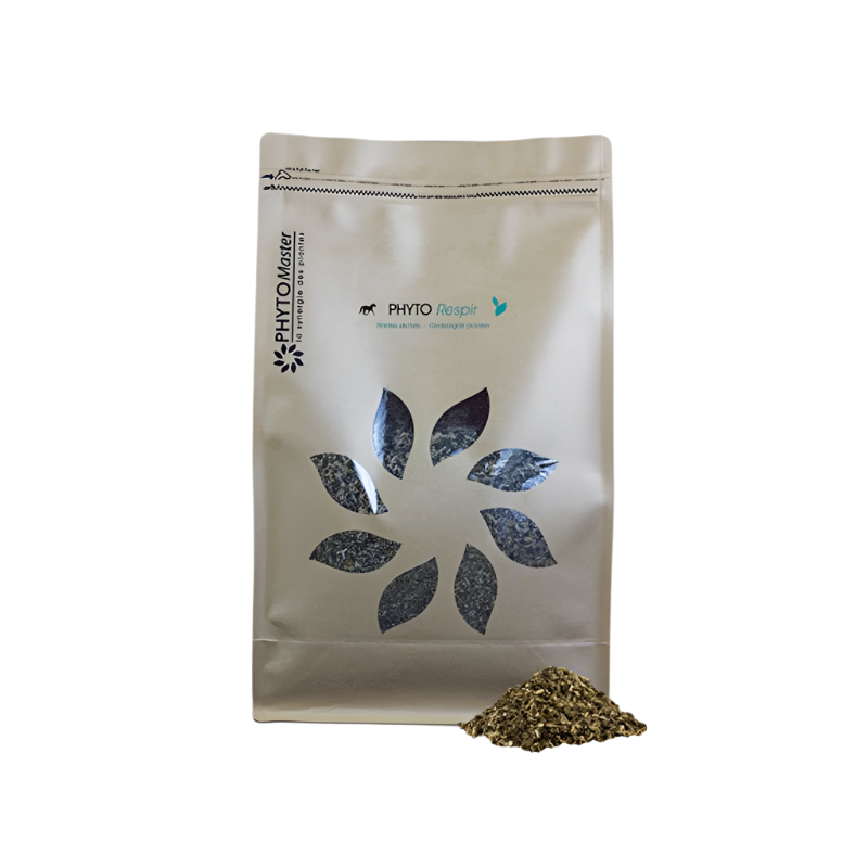 PhytoMaster - Complément alimentaire confort respiratoire Phyto Respir