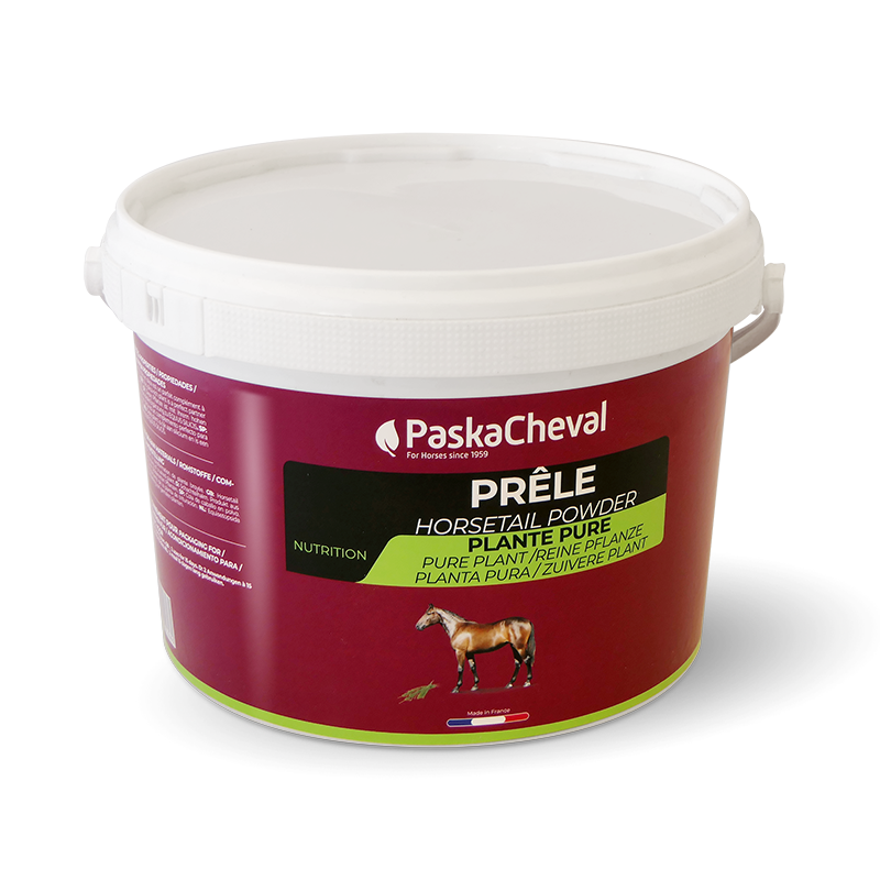 Paskacheval - Complément alimentaire soutien articulaire Poudre prêle