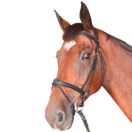 Privilege Equitation - Cabourg combineerd trenshoofdstel met zwarte teugels | - Ohlala