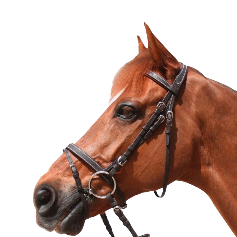 Privilege Equitation - Bridon Grandville combiné avec rênes marron