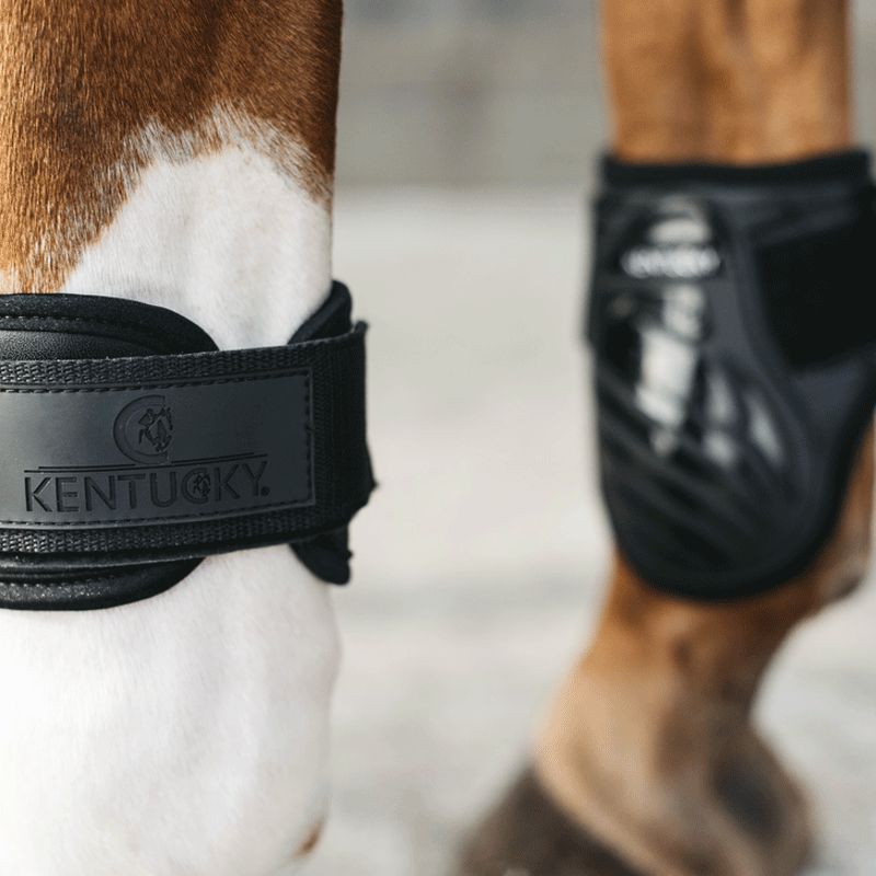 Kentucky Horsewear - Protège-boulet jeunes chevaux noir | - Ohlala