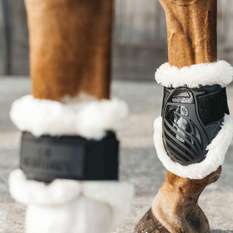 Kentucky Horsewear - Protège-boulet jeunes chevaux mouton vegan noir | - Ohlala