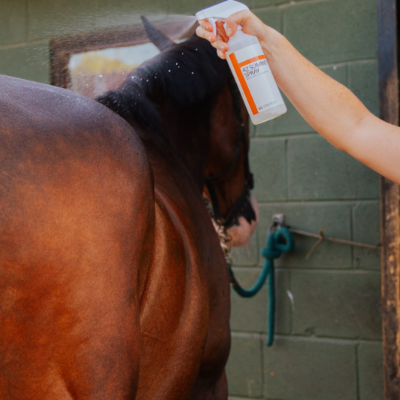 Red Horse - Spray répulsif à insectes cheval RZ Summer spray