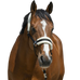 Riding World - Halster synthetisch schapenvacht zwart | - Ohlala