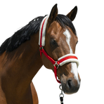 Riding World - Halster synthetisch schapenvacht rood | - Ohlala