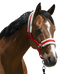 Riding World - Halster synthetisch schapenvacht rood | - Ohlala